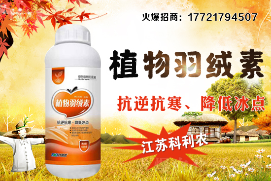 �����׷Nֲ�ܶ���ΰ��գ�������ʩ�ʼ��к��ڹ�����