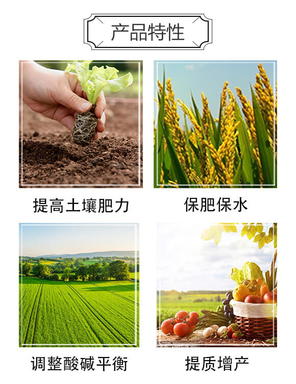 ̼��΢�������-���Sʢ-�����__03