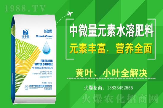 �S����ԓ��ô�Nֲ���S���˷Nֲ�^����ע����Щ���}��