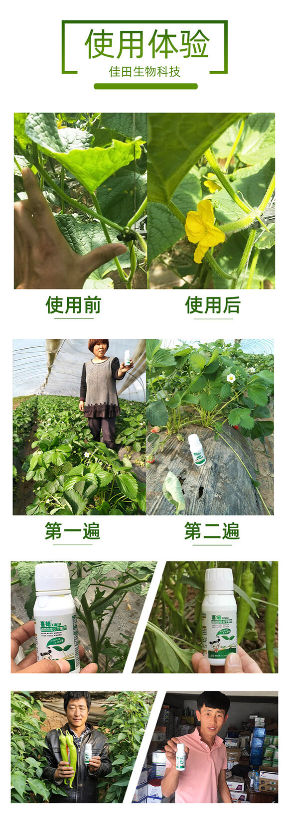 ���I(y��ng)�B(y��ng)���L(zh��ng)ƽ�℩-ϲ�-��������_06