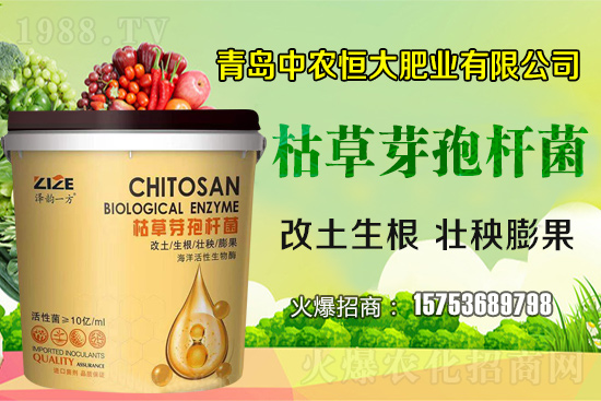 �ݲ�ѿ�ߗU������ǡ����С������ݲ�ѿ�ߗU�����w�������˽����