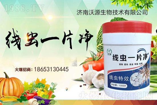 ���Y(ji��)���x�y���������ξ��x�����xһƬ����