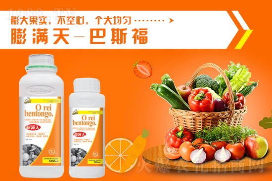 һ�@���镺��(w��n)��10��13�Շ���(n��i)���@�r(ji��)������