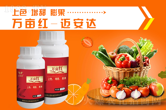 2021��10��8�Շ�(gu��)��(n��i)⛷ʃr(ji��)������