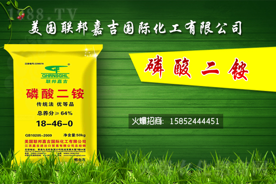 ���@�r(ji��)���ů��11��1�����@�r(ji��)������