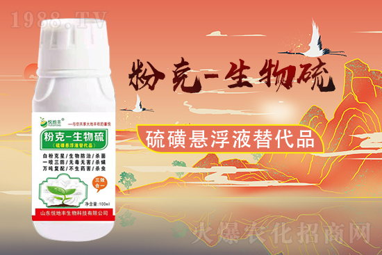 ɽ�|�����S�m(x��)�s1988.TV�����\�����°l(f��)չ