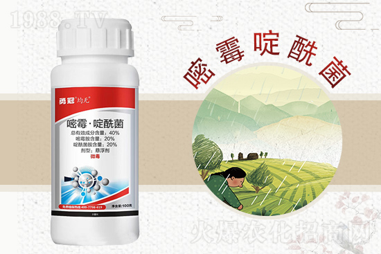 �¹چ̵��ٺ�1988.TV���T�����x�ͣ�