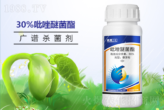 �¹چ̵��ٺ�1988.TV���T�����x����