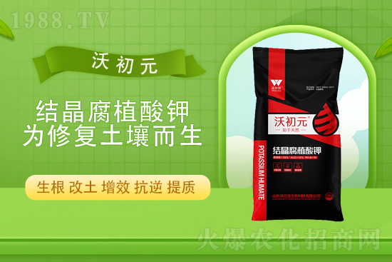 2021��11��2�Շ���(n��i)⛷ʃr�������Ӎ