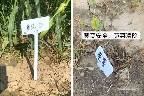 �α�2̖(h��o)¡������������������ɳ��{�˵��S�γ��݄������ݸ��V����ȫ�棡