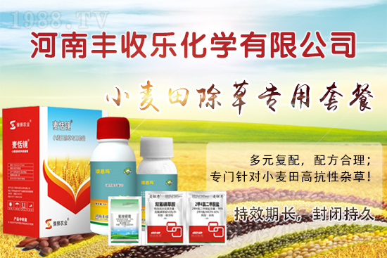 С�������ӳ��ݸ���ԓ��ô�x�ó��݄���