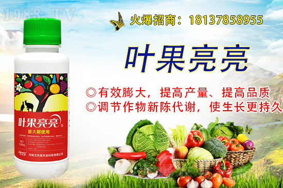 ���ռZ�r��С���r�����鼰���з���