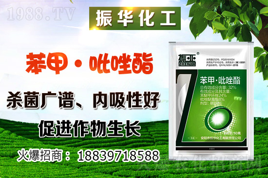 ���ԓ��ô�Nֲ������Nֲ�������h(hu��n)��Ҫ����