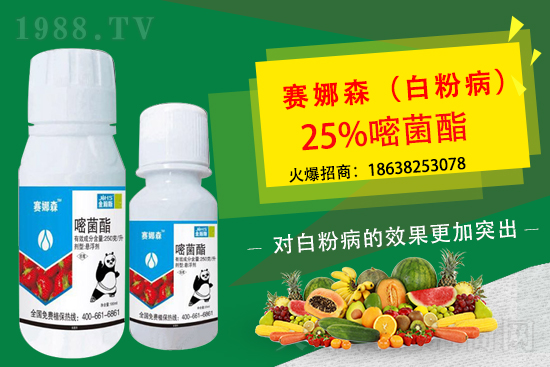 뿾����򴼚������r��2021.3.10