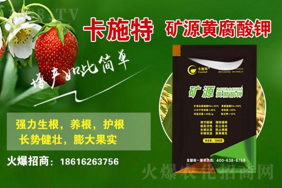 ���ջ����r������Xһ����2021��3��19�ջ����r������