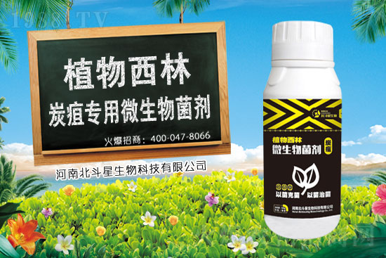 2021��3��20�ո����\�������r������