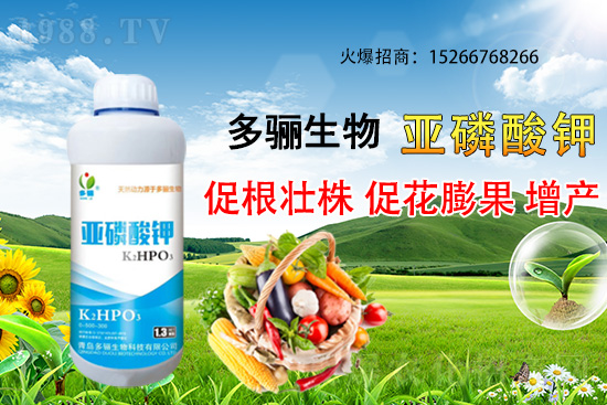 3�·��m�ϷNֲʲôˎ������Щˎ�ķNֲǰ������ٍ�X