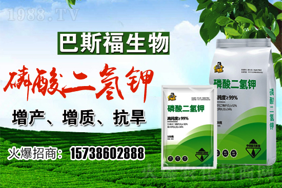 С���r(ji��)��F(xi��n)�ڶ����Xһ�������������߄�(sh��)��Σ�