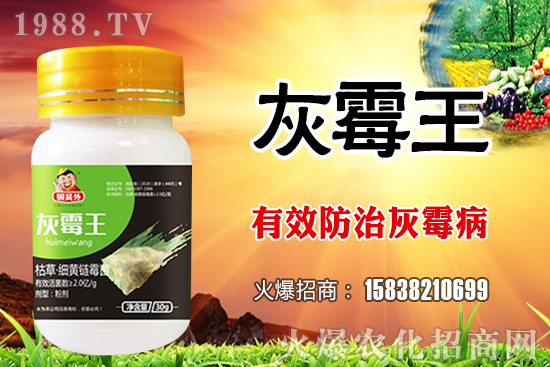 2021��4��28���rˎ�������r���߄�