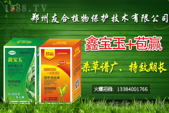 2021.5.15���(sh��)���݄��r(ji��)������