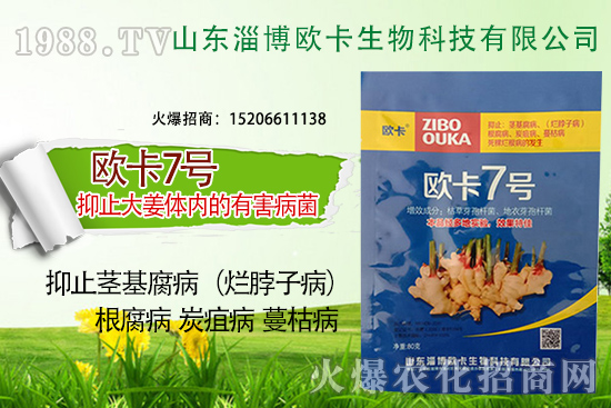 �W�������ٺ�1988.TV������(sh��)�F(xi��n)��I(y��)�v�w����