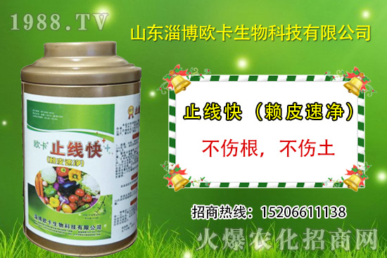 �W�������ٺ�1988.TV������(sh��)�F(xi��n)��I(y��)�v�w����