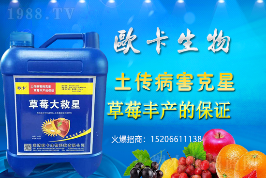 �W�������ٺ�1988.TV������(sh��)�F(xi��n)��I(y��)�v�w����