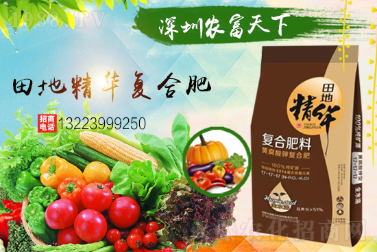 �����������������A���r(n��ng)�������ٺ�1988.TV��(chu��ng)���x����