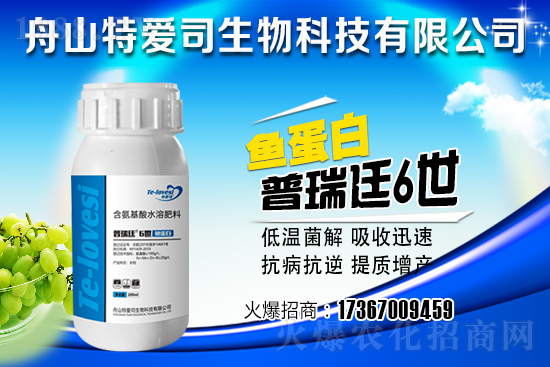 ��(d��ng)�w����