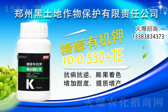 ⛷ʃr(ji��)���ϝq��2021��6��10��⛷ʃr(ji��)�������߄�(sh��)