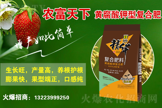 �ͺϷ��Ј����������2021��6��10�ջ��������߄ݣ�