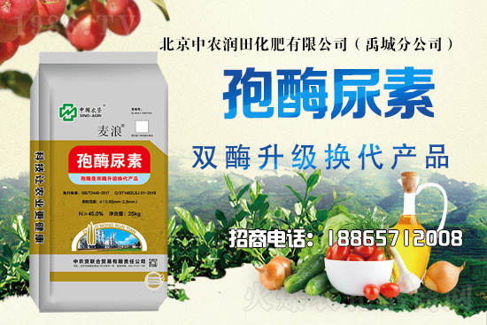 2021��6��17�Շ���(n��i)�������؃r�������Ո�