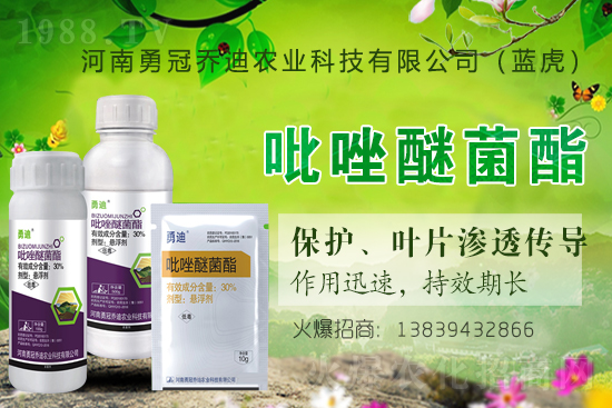 �����������¹چ̵ϣ��{�����ٺ�1988.TV������(chu��ng)���x����