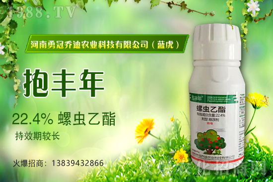 �����������¹چ̵ϣ��{�����ٺ�1988.TV������(chu��ng)���x�ͣ�