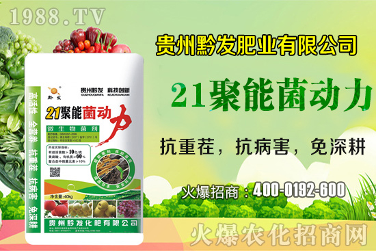 ǭ�l(f��)�ʘI(y��)�ٶȔy��1988.TV���y�ִ����������E��