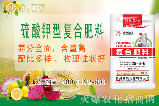 ǭ�l(f��)�ʘI(y��)�ٶȔy��1988.TV���y�ִ����������E��