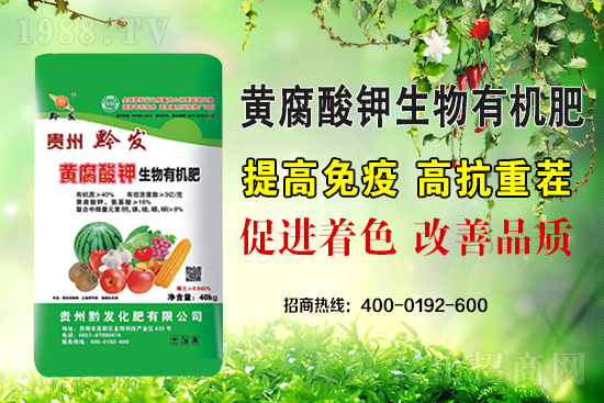 ǭ�l(f��)�ʘI(y��)�ٶȔy��1988.TV���y�ִ����������E��