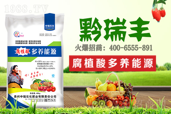     ����ʯ���ʘI(y��)�𱬁��u���ٺ����r(n��ng)�����̾W(w��ng)���_��(chu��ng)���x����