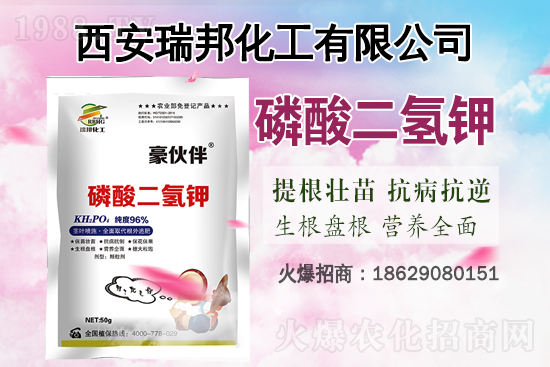 �Ȼ�⛸߃r�\����2021.6.29⛷ʃr�������Ո�