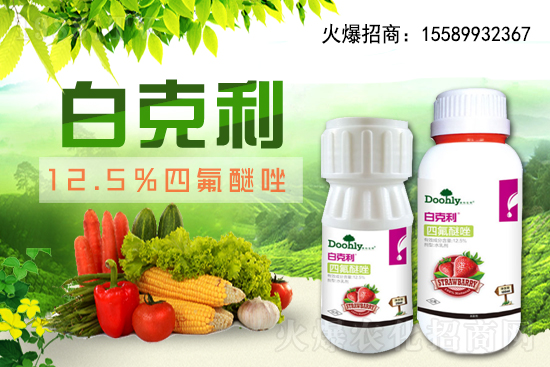 ���|���m(x��)�s1988.TV����(zh��n)�Ժ����Pϵ�������_�A��