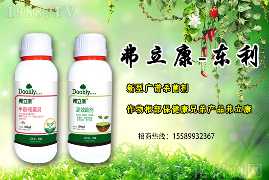 ���|���m(x��)�s1988.TV����(zh��n)�Ժ����Pϵ�������_�A��