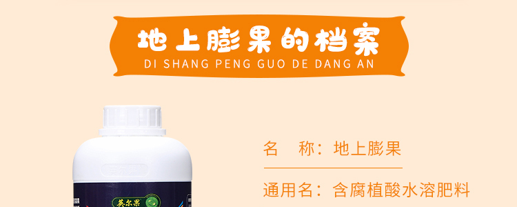 Ԕ���(y��)_05