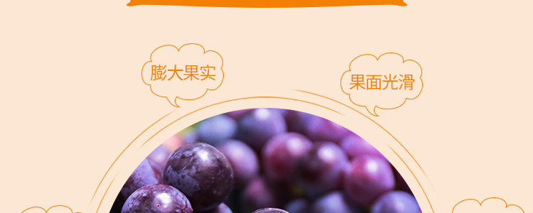 Ԕ���(y��)_12