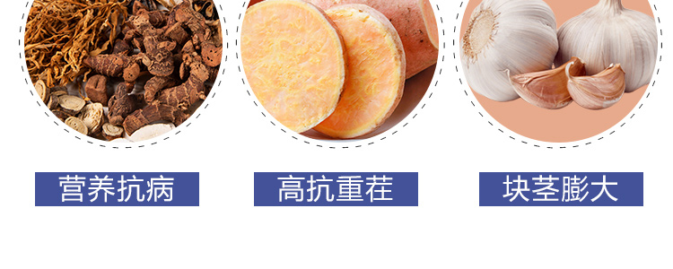 �������_15