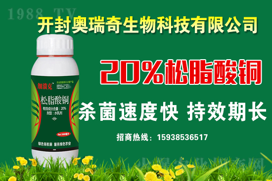 �W��������𱬁�(l��i)�u���y��1988.TV�_(k��i)���W(w��ng)�j(lu��)������������