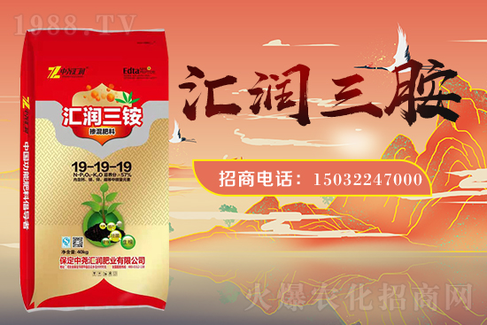 �r(n��ng)���W(w��ng)ϲӭ���������Ј�R�����s1988.TV�y�ִ����������E��