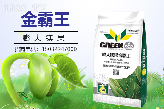 �r(n��ng)���W(w��ng)ϲӭ���������Ј�R�����s1988.TV�y�ִ����������E��