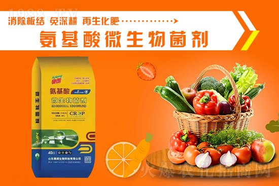 ɽ�|�W�������ٺ�1988.TV���y�ִ����������E��