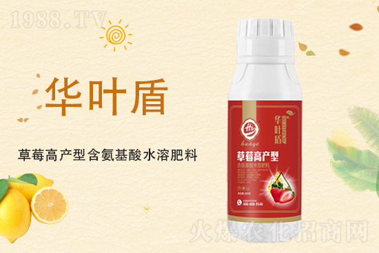 2021��8��26�ղ˶����x���r��