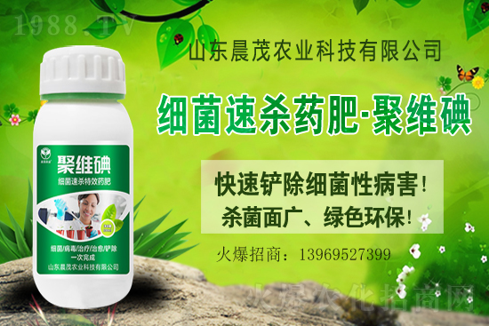 2021.8.3�R��횢�����r���Ո�